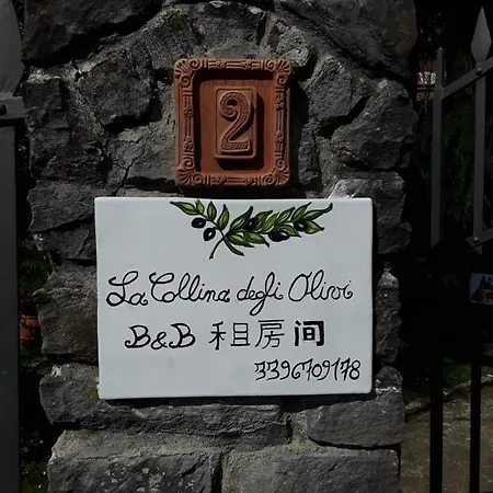 לינה וארוחת בוקר La Collina Degli Olivi