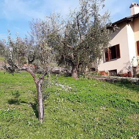 לינה וארוחת בוקר La Collina Degli Olivi 3*