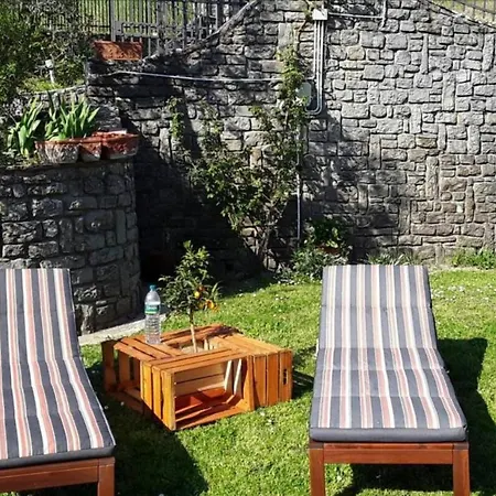 La Collina Degli Olivi